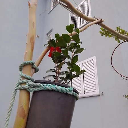 Lägenhet Lea Rovinj