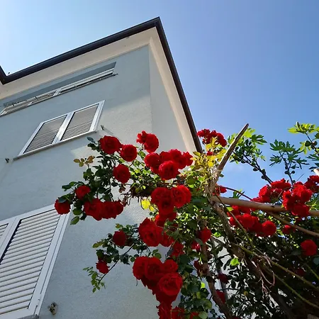 Apartament Lea