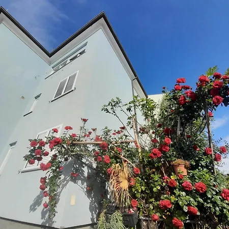 Apartment Lea Rovinj